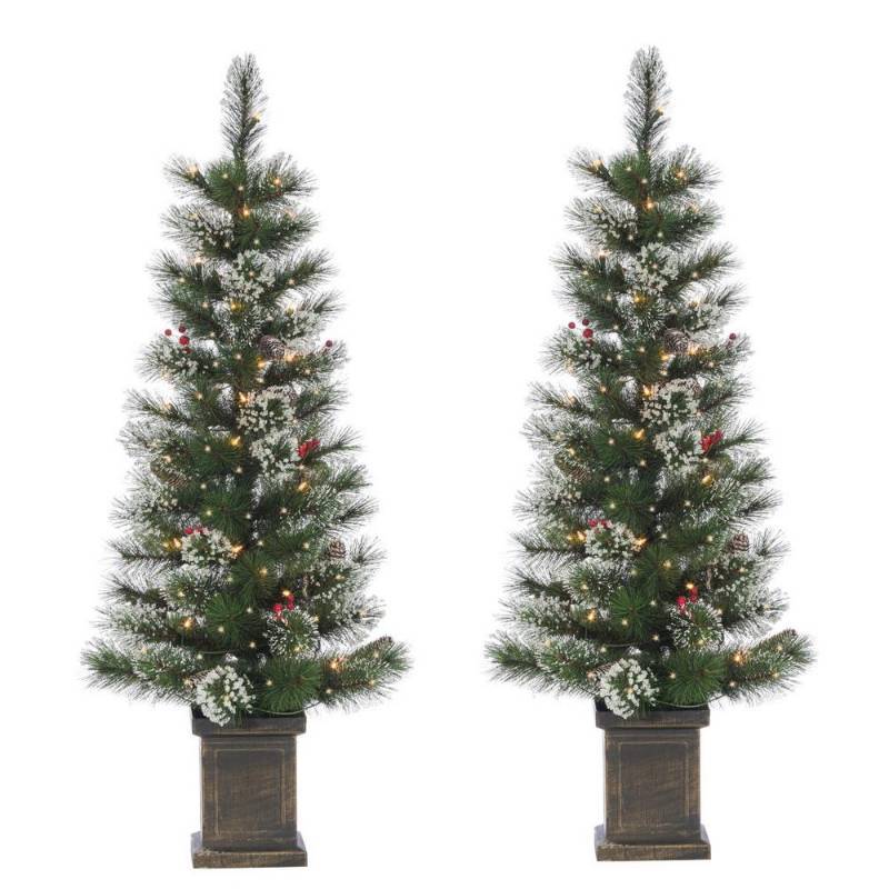 lot 24 image: Set of 2 Prelit Potted Trees