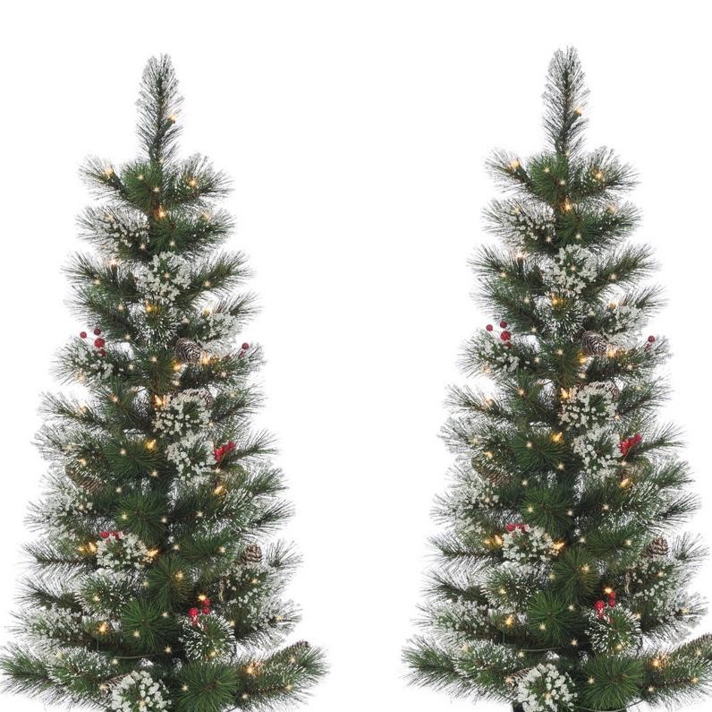 lot 25 image: Set of 2 Prelit Trees