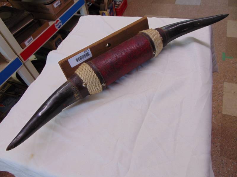 lot 3591 image: MOUNTED BULL HORN DECOR - 24 TIP TO TIP