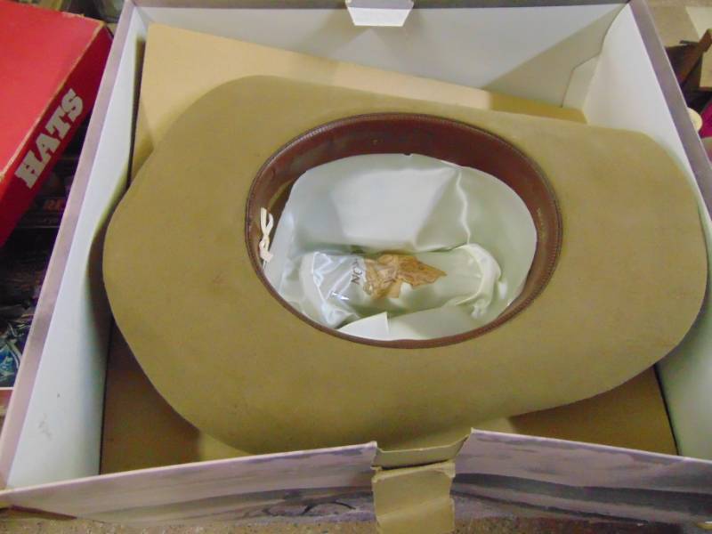 lot 3694 image: STETSON HAT