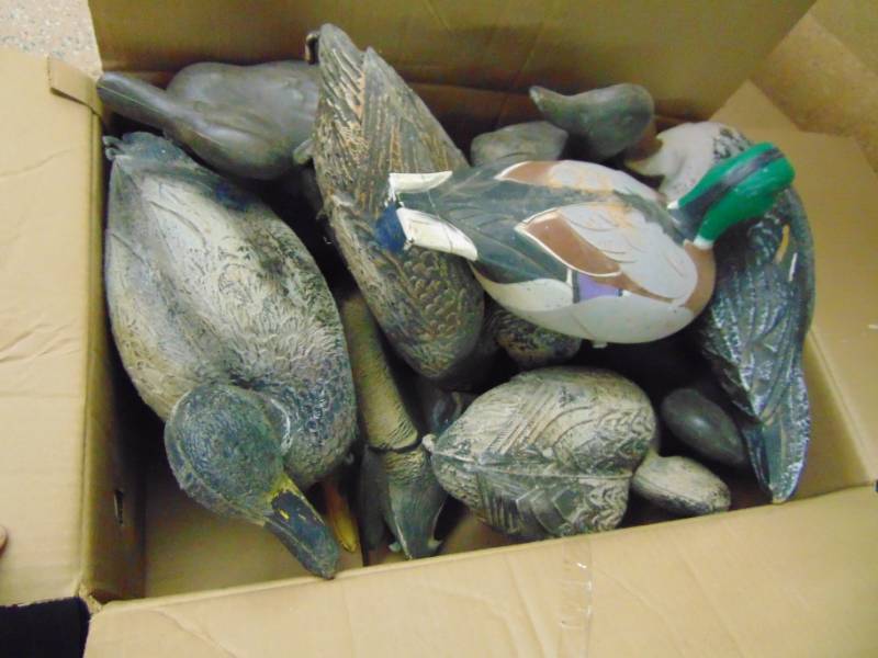 lot 3722 image: DUCK DECOYS -- 12 TOTAL