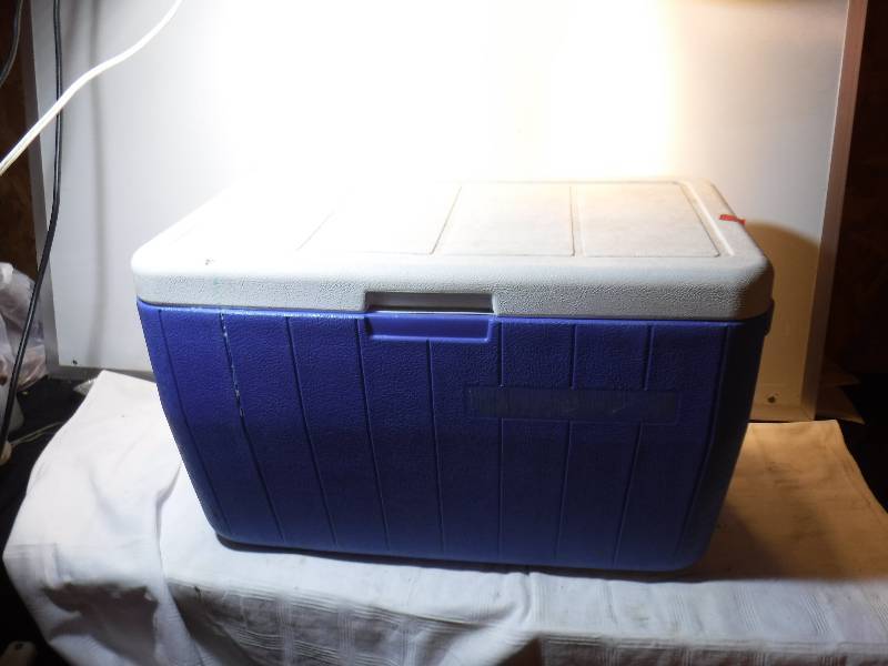 lot 1295 image: Coleman cooler full of goodies including a fire king mug and westing house steamer