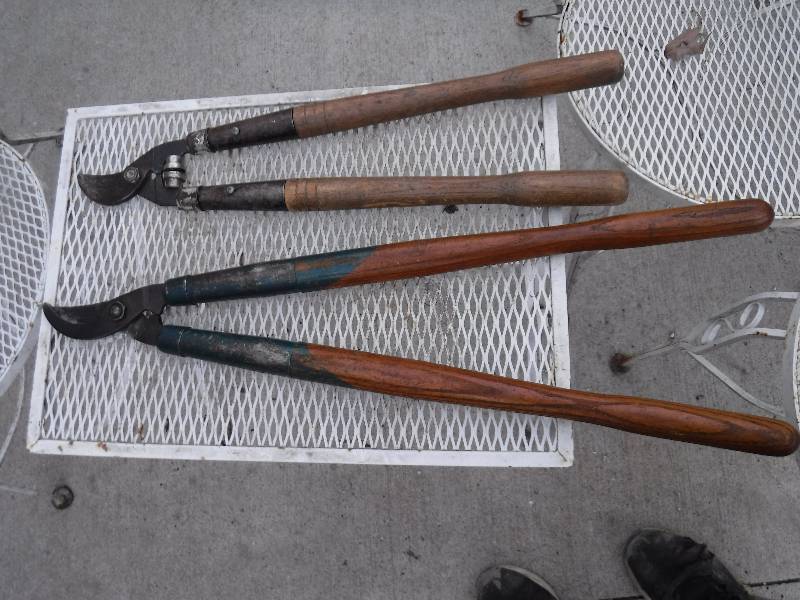 lot 7440 image: pruning tools