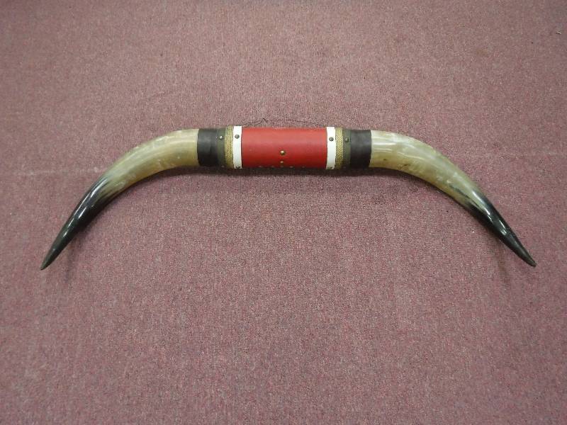 lot 7171 image: 44 inch span steer horns Western decor or mount them on your truck