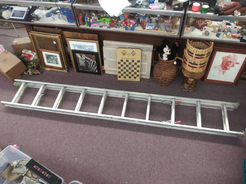 lot 3125 image: Werner Saf-T-Master Household Ladder