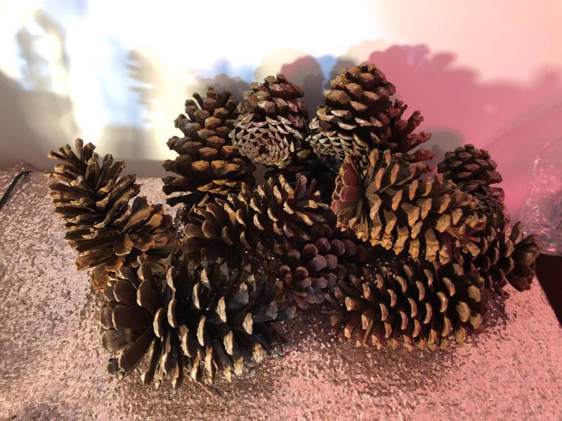 lot 6166 image: Huge Lot of DIY Pinecones
