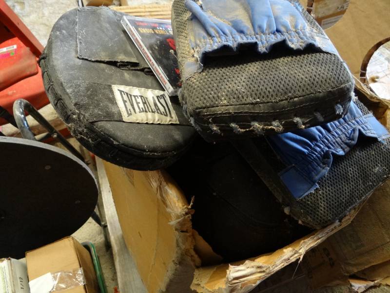 lot 3891 image: Punching bag, with training gloves and more