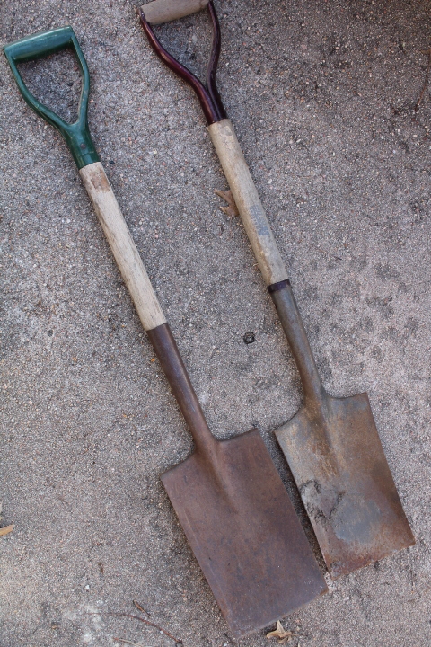 lot 1101 image: 2 Trenching Shovels