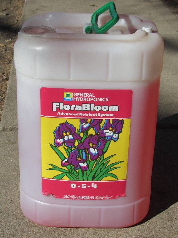 lot 5125 image: FloraBloom