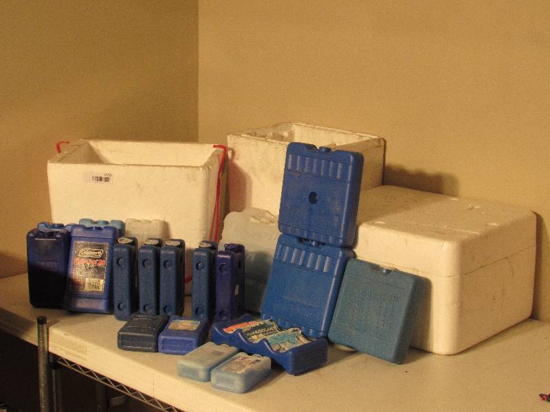 lot 5136 image: Lot of blue ice blocks