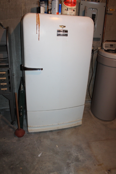 lot 1741 image: GM Frigidaire Refrigerator - In Basement