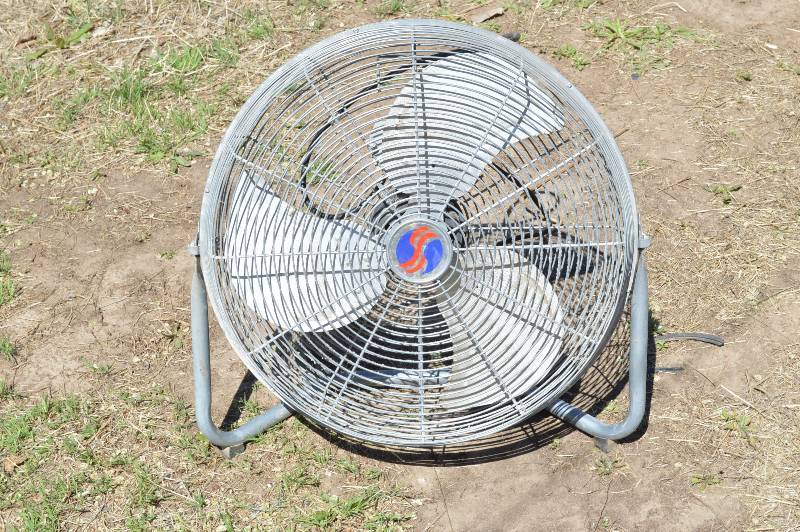 lot 2486 image: Fan - works