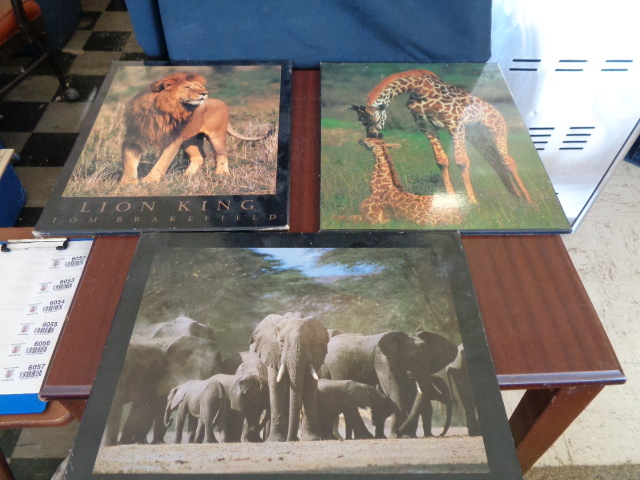 lot 6047 image: 3- 20x16 Wall Hangings