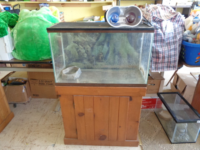 lot 6207 image: 28 gallon Terrarium w 28H Wood Stand and Heat light