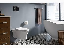 lot 1035 image: KOHLER K-6284-NA Veil In-Wall Tank And Carrier System