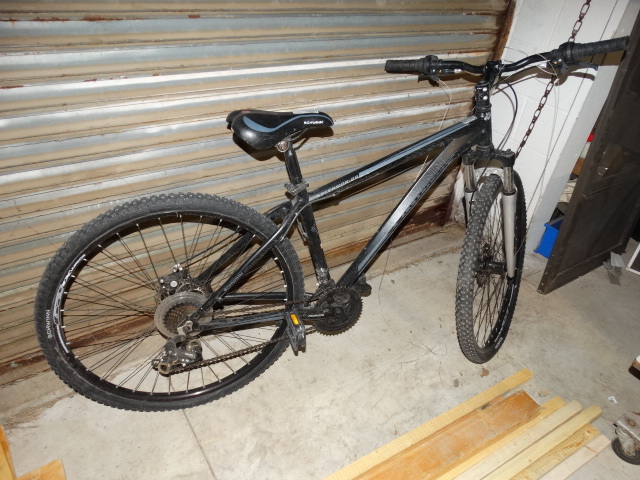 schwinn ascension mountain bike