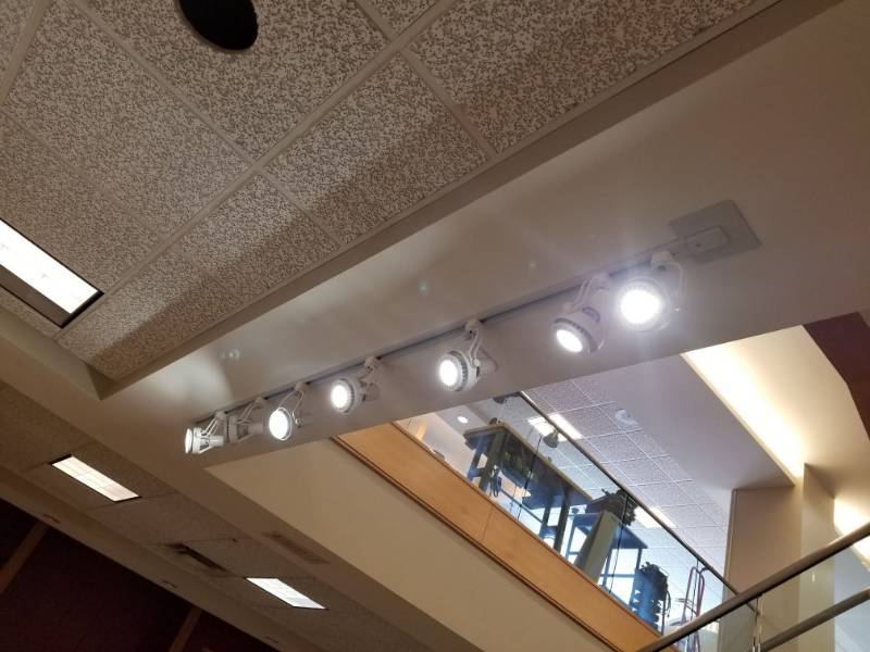 lot 2091 image: Track Lighting 14 Lights