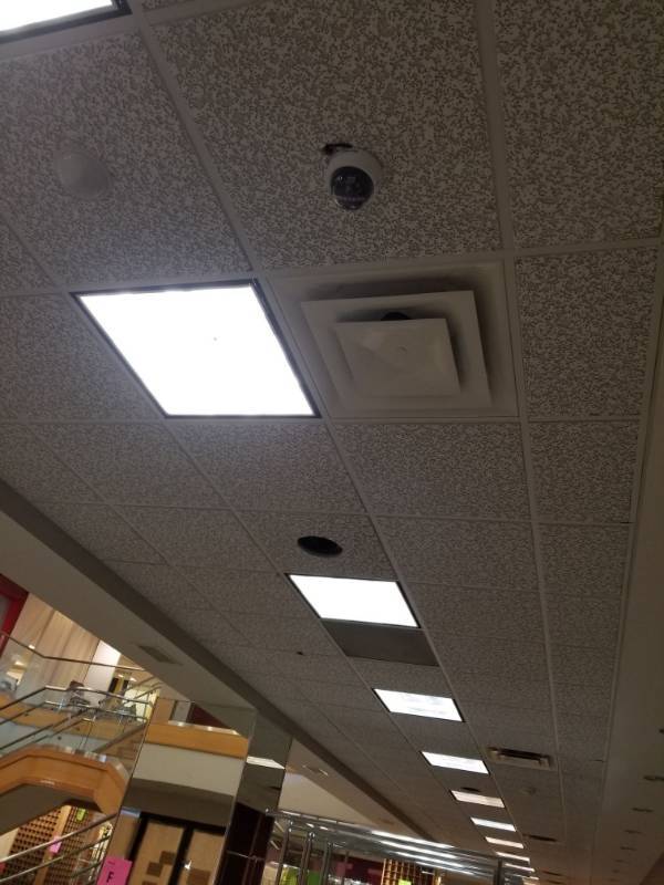 lot 2092 image: Ceiling Tiles on 1st Floor