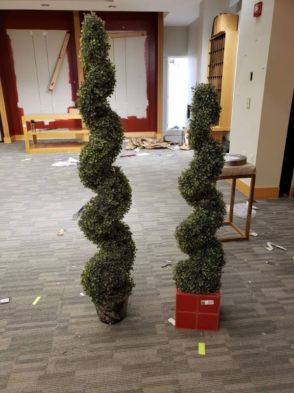 lot 2095 image: (2) Spiral Decoration Plants