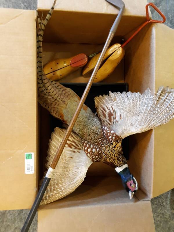 lot 3037 image: Stuffed Pheasant, Antique Putter, Wooden Shoe Stretchers