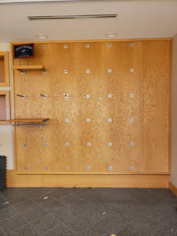 lot 3253 image: Pegboard with Various Pegs and Shelves.