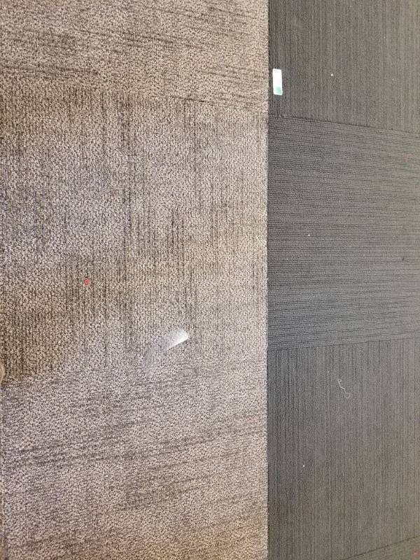 lot 4545 image: Carpet Tiles Entire 3rd Floor