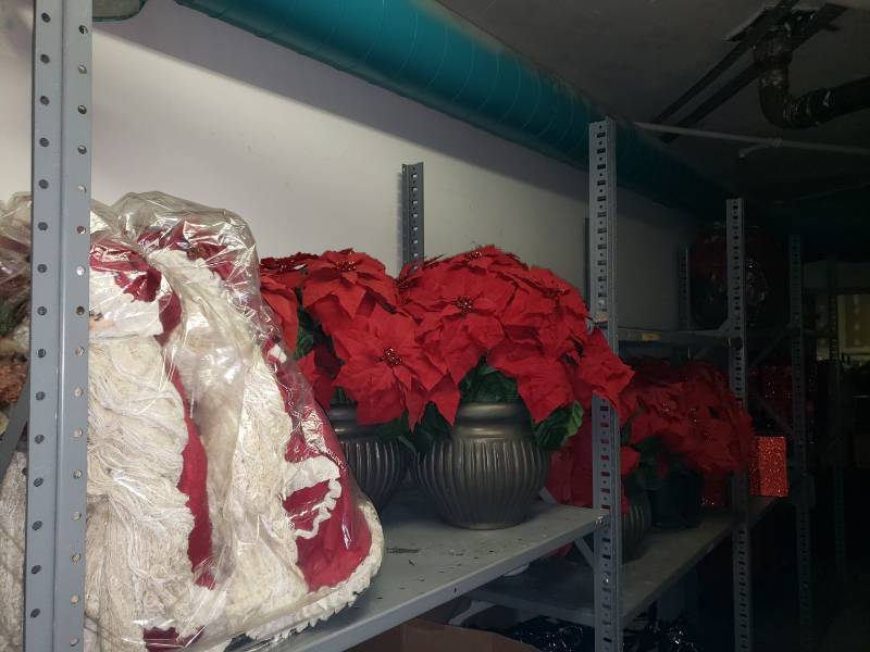 lot 9020 image: Lot of plants and Christmas decorations
