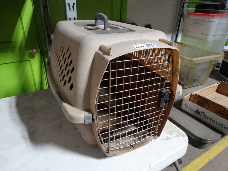 lot 8884 image: Pet taxi