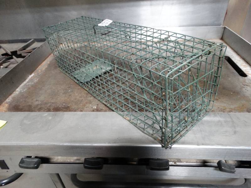 lot 8910 image: Live catch animal trap- 24 long