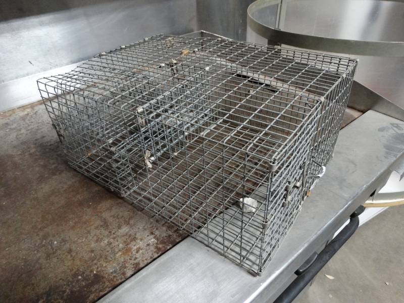 lot 8912 image: Live catch animal trap-