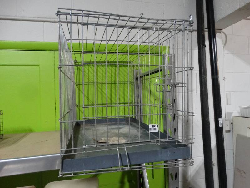 lot 8913 image: Metal dog kennel- 36 x 19 x 21