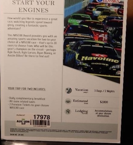 lot 17978 image: TRIP - NASCAR SPRINT CUP RACE FOR 2 - YOUR CHOICE OF RACE