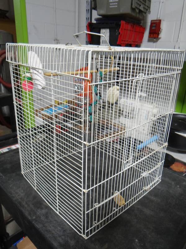 lot 5727 image: Bird cage.