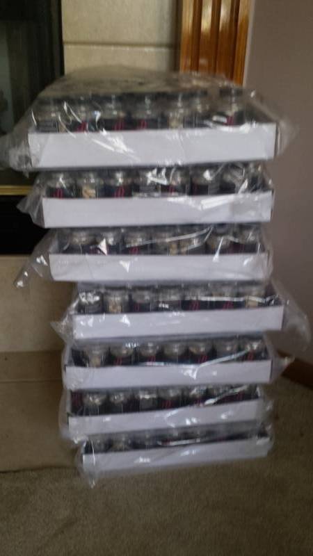 lot 13080 image: TLS Hair Nails and Lashes Supplements - 7 Cases - Expired