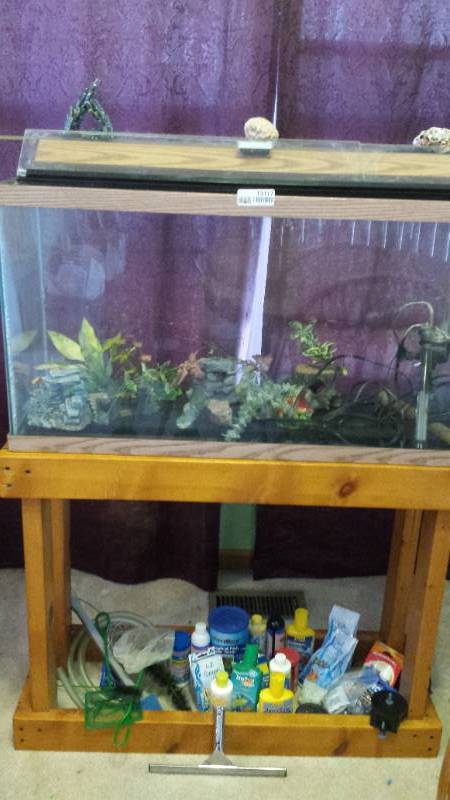 lot 13117 image: Large Fish Tank with Wood Stand and Contents