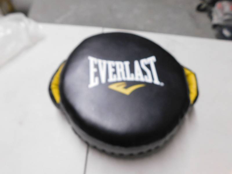 everlast punch shield