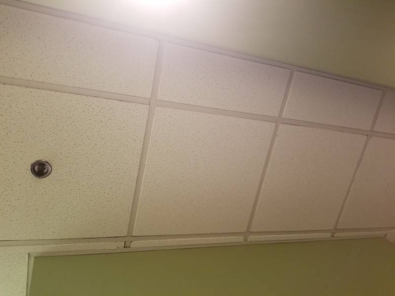 lot 1581 image: Ceiling Tiles In Entire Restaurant