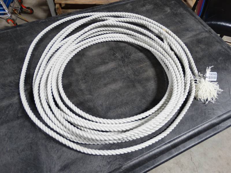 lot 19099 image: Lasso