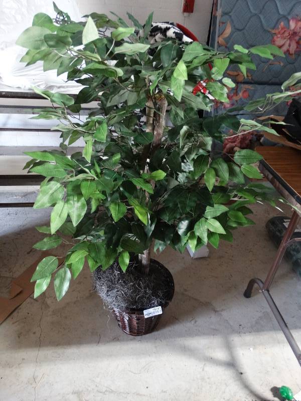 lot 19141 image: Fake plant