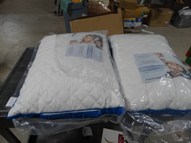 lot 19252 image: 2 Songmics pillows
