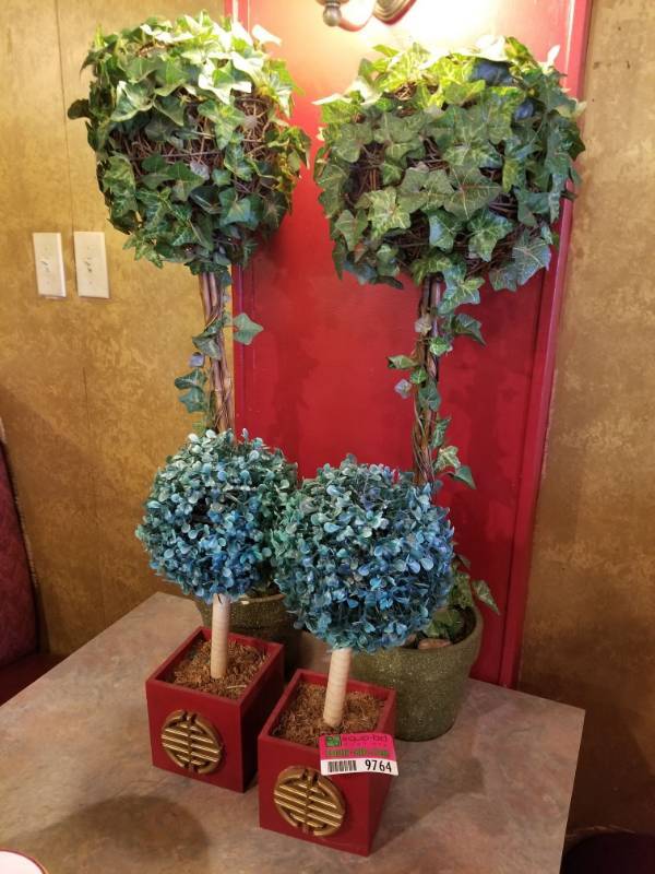 lot 9764 image: 4 Fake Plants