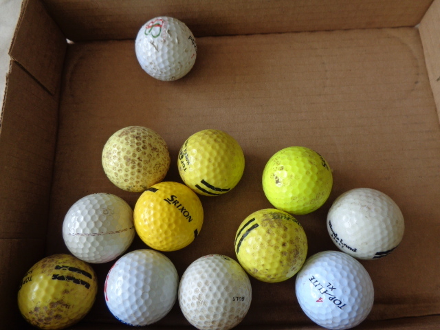 lot 6690 image: 12 Golf Balls