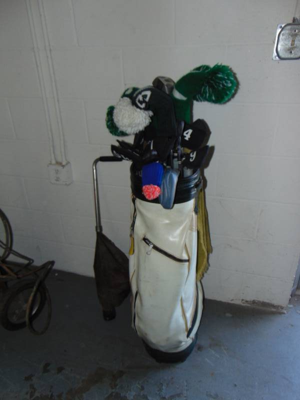 lot 10783 image: Full Set Of Golf Clubs and Bag