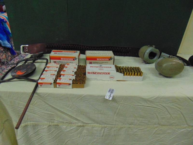 lot 10823 image: ammo lot