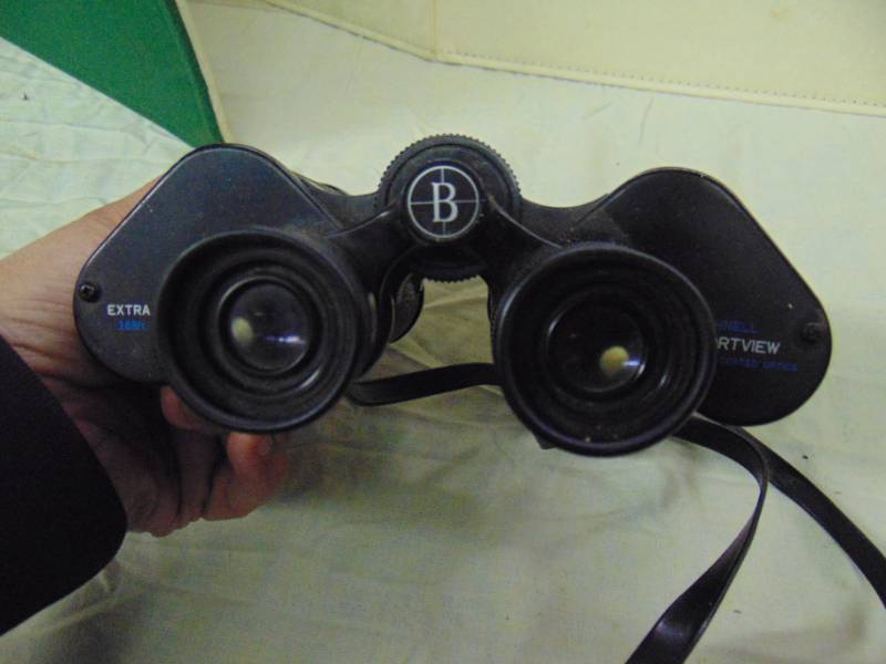 lot 10824 image: Bushnell Sportview 10x50 binoculars