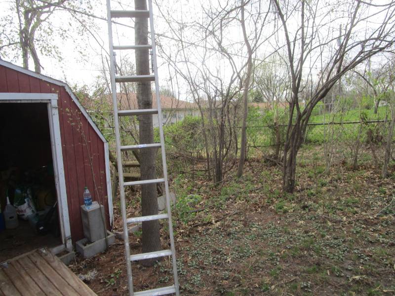lot 13341 image: Aluminum Extension Ladder