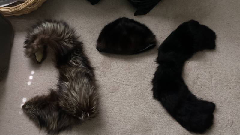 lot 13468 image: Fur Collars  Clutch Lot
