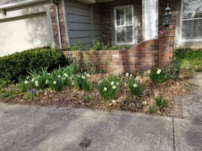 lot 1591 image: Brick Retaining Wall