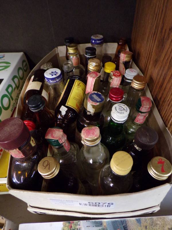 lot 6076 image: MINI LIQUOR BOTTLES