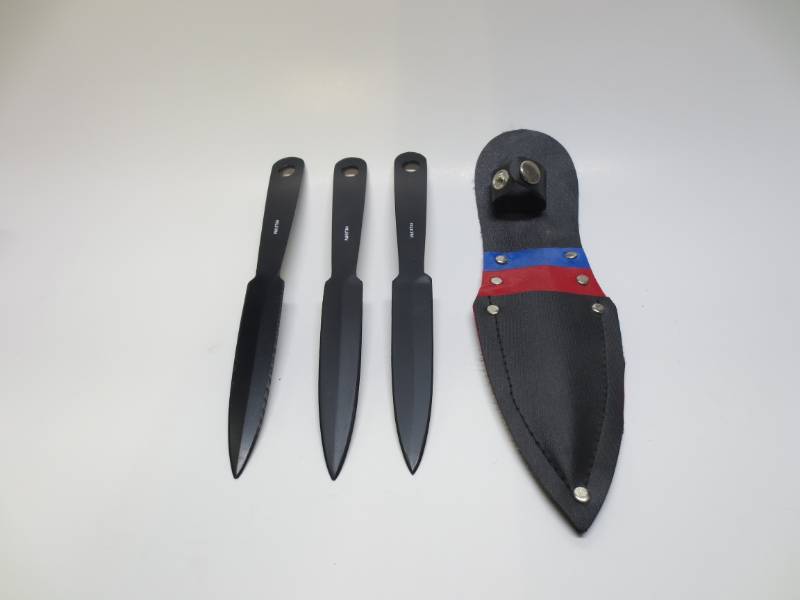 lot 1099 image: 3 Throwing Knifes with pouch